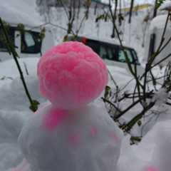 f:id:MonroeAkira:20251215103147j:image f:id:MonroeAkira:20251215103147j:image