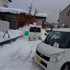 f:id:MonroeAkira:20251215113838j:image f:id:MonroeAkira:20251215113838j:image