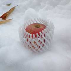 f:id:MonroeAkira:20251215113930j:image f:id:MonroeAkira:20251215113930j:image