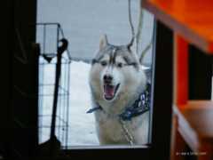 f:id:OKP:20170201190405j:plain