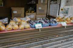 f:id:OKP:20170912165212j:plain