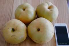 f:id:OKP:20170919114331j:plain