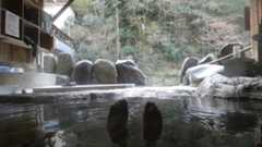 f:id:TAKETACHANNEL:20200219184247j:plain