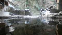 f:id:TAKETACHANNEL:20200219184525j:plain