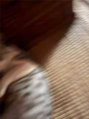 f:id:Tama-kerne:20250925224140j:image f:id:Tama-kerne:20250925224140j:image