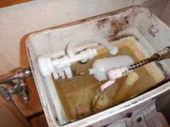 f:id:UMS:20210307090455j:plain