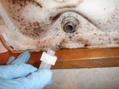 f:id:UMS:20210307090508j:plain