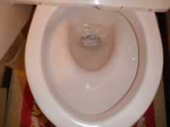 f:id:UMS:20210307090604j:plain