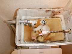 f:id:UMS:20210307090642j:plain