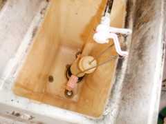 f:id:UMS:20210307090745j:plain