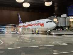 【GWドイツ1週間1人旅総額費用】③ドイツ旅行の費用の詳細は?