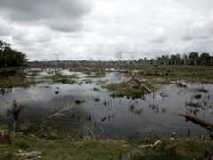 f:id:aniram-czech:20150912032941j:plain f:id:aniram-czech:20150912032941j:plain