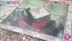 f:id:bagpipe_ps:20200801194944j:plain