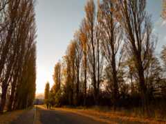 プロンプトで生成した人物を加えてイメージした情景を再現