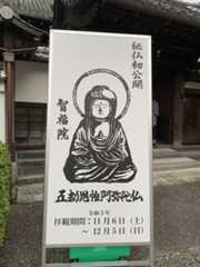 f:id:butsuzodiary:20211204142503j:plain