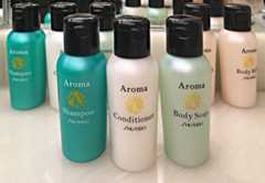 ホテルニューオータニ東京 デラックスーム５