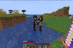 f:id:chobin1213:20220629005048p:image