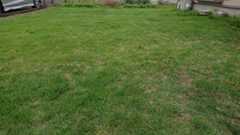 f:id:coedowalk:20210606173449j:plain