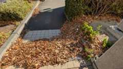 f:id:comet-san:20251208124515j:image f:id:comet-san:20251208124515j:image