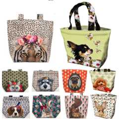 レッセルーシーフェール　リュシーダンセット