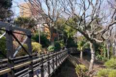 f:id:dad_aslan:20210313130112j:plain