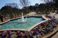 f:id:dad_aslan:20210313130121j:plain