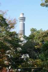 f:id:dad_aslan:20210313154146j:plain