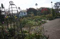 f:id:dad_aslan:20210313155710j:plain