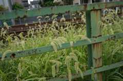 f:id:dad_aslan:20220302210446j:plain