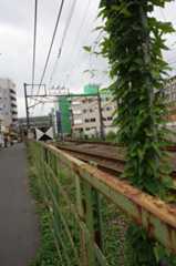 f:id:dad_aslan:20220302210449j:plain