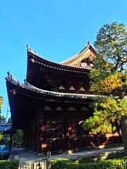 大徳寺No3