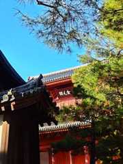 大徳寺No6