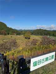 f:id:emi-sk:20251110182309j:image