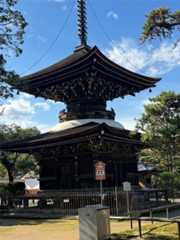 f:id:emi-sk:20251110204315j:image