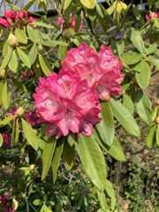 f:id:goldhead:20200322142729j:plain