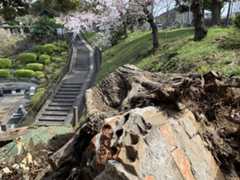 f:id:goldhead:20200322143444j:plain