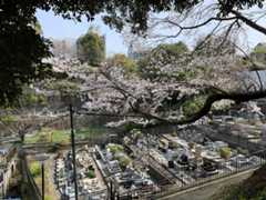 f:id:goldhead:20200322143924j:plain