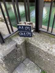 f:id:goldhead:20200322145012j:plain