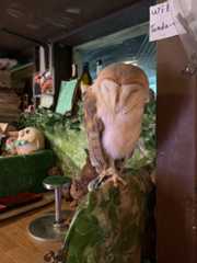 f:id:goldhead:20200322155311j:plain