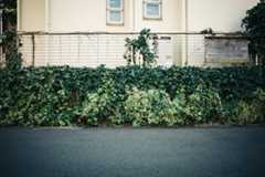 f:id:gorotaku:20190315131928j:plain f:id:gorotaku:20190315131928j:plain