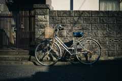 f:id:gorotaku:20190315143856j:plain f:id:gorotaku:20190315143856j:plain