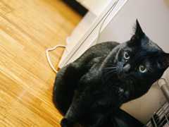 f:id:gorotaku:20190920211101j:plain f:id:gorotaku:20190920211101j:plain