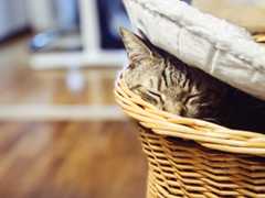 f:id:gorotaku:20190921083343j:plain f:id:gorotaku:20190921083343j:plain