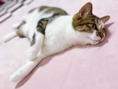 f:id:gorotaku:20190921152937j:plain f:id:gorotaku:20190921152937j:plain