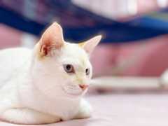 f:id:gorotaku:20190921155145j:plain f:id:gorotaku:20190921155145j:plain