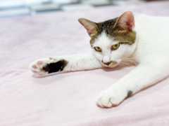 f:id:gorotaku:20190921155849j:plain f:id:gorotaku:20190921155849j:plain