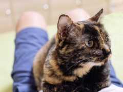 f:id:gorotaku:20190921180527j:plain f:id:gorotaku:20190921180527j:plain