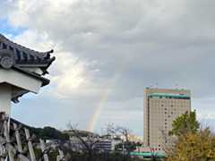 f:id:hana7_1111:20201123162602j:plain