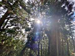 f:id:hana7_1111:20220203224627j:plain