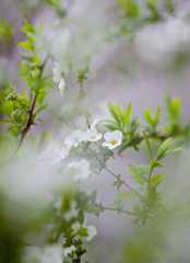 f:id:hana7_1111:20220327164459j:plain